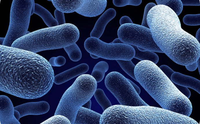 Prokaryotic and Eukaryotic Cells | CK-12 Foundation