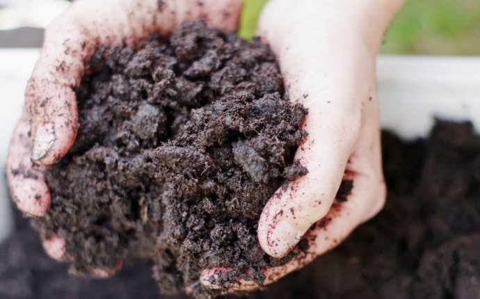 Soil Microbes And Human Health – Learn About The Natural