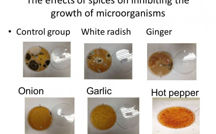 The effects of spices on the growth of microorganism Speakers