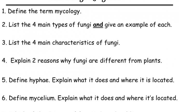 The Fungi Kingdom. - ppt download