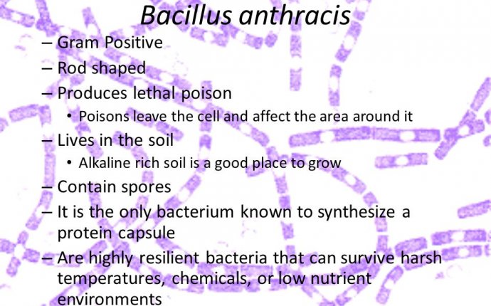 Protein Capsule Bacteria