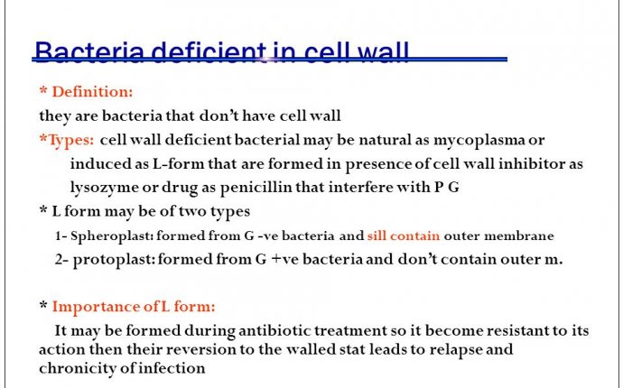 Define Bacterial cells