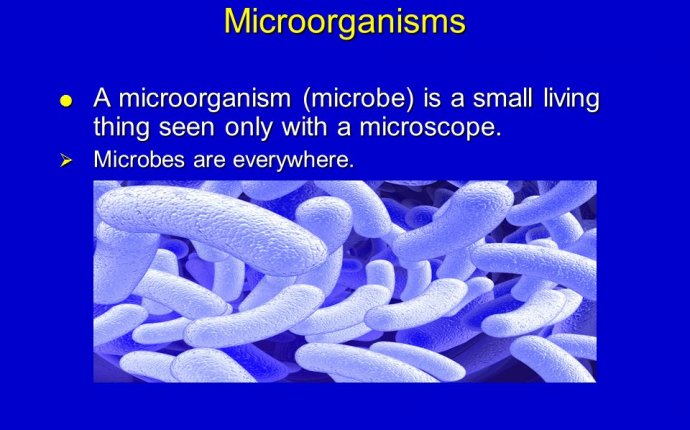 Microbes Are Everywhere