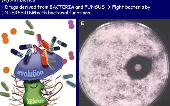 Bacterial Structures and Functions