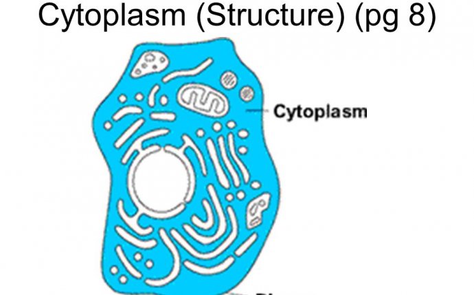 Structure and Function of Cytoplasm