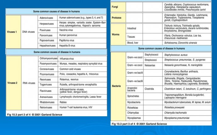 Classes of pathogens