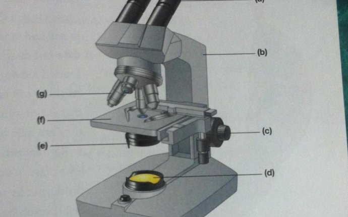 Bacterial cell wall Structure and Function