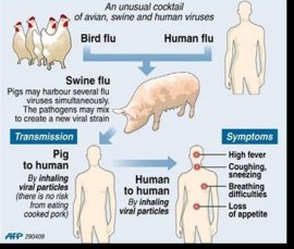 How Viruses Spread Image