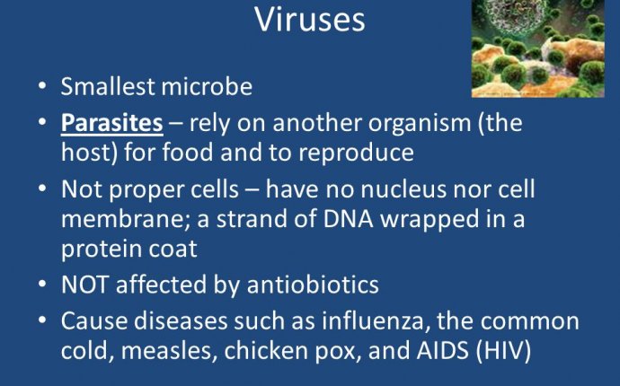 Smallest Microbe